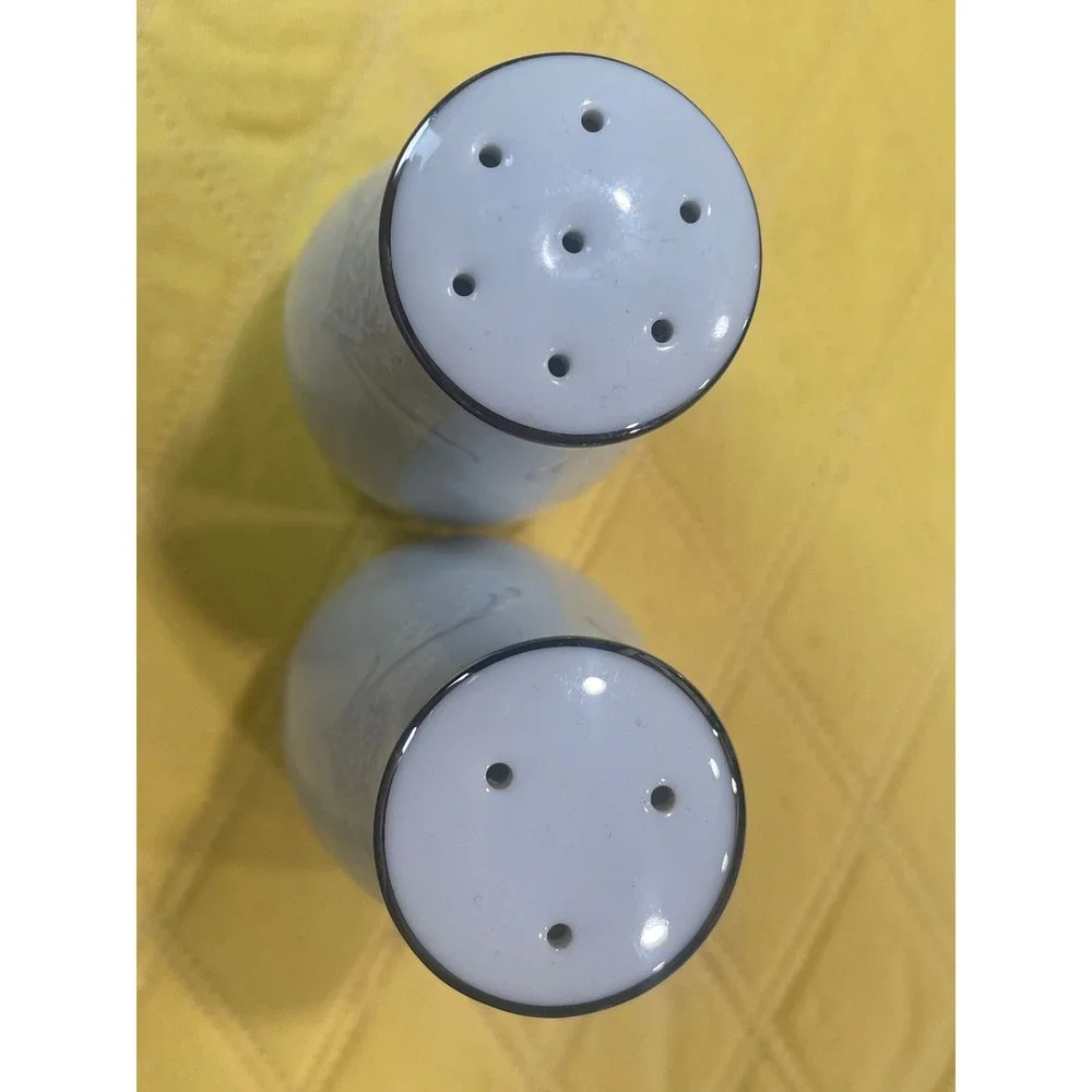 Noritake Japan White Floral Relief Salt & Pepper Shakers Set Vintage Silver Rim
